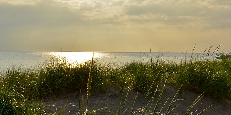 Gillson Park, from its own website