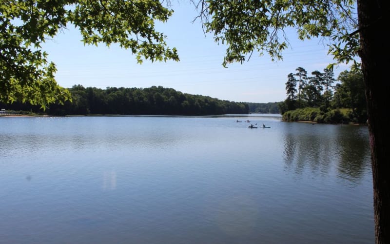 Quest at Latta Nature Preserve, from its own website