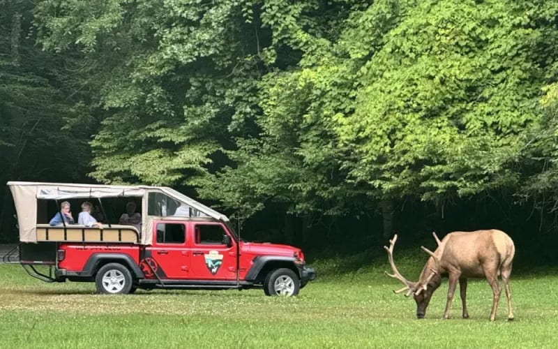 Scenic Tours & Adventures, from its own website