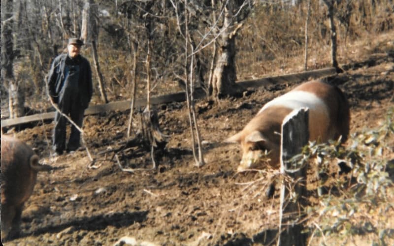 Hickory Creek Farm, from its own website