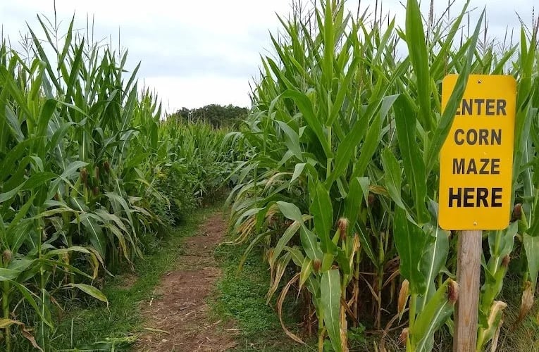 The Ice Cream Patch at Holder Hill Farm, from its own website