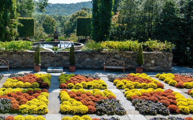 The North Carolina Arboretum, from its own website