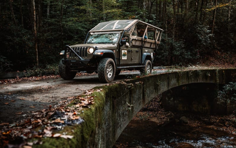 Asheville Tours & Excursions, from its own website