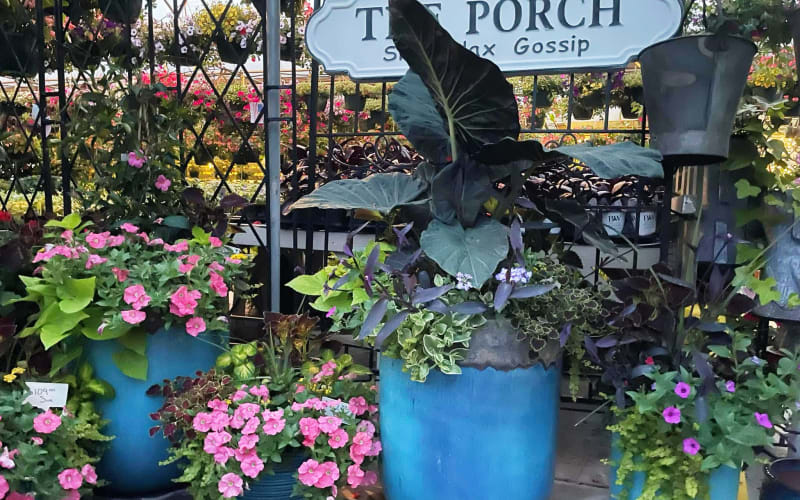 Whitaker Farms Retail Garden Center & Greenhouses, from its own website