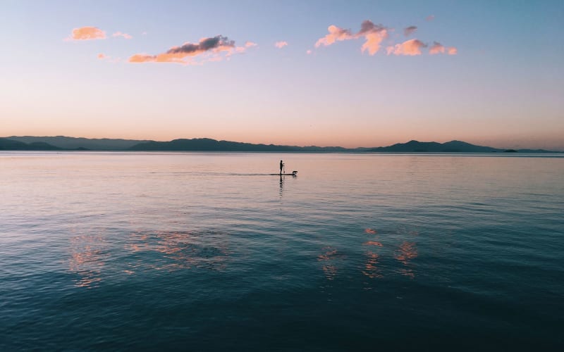 Riverside Paddle and Row, from its own website