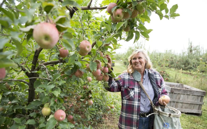 Creasman Farms, from its own website