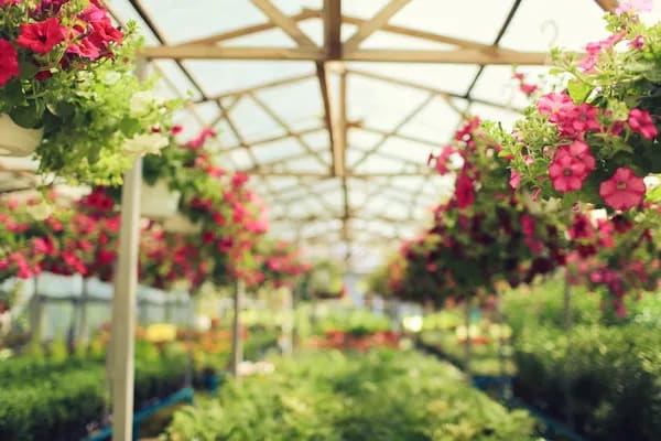 Turk Farm, from its own website
