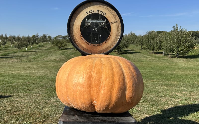 Harvest Time Orchards, from its own website
