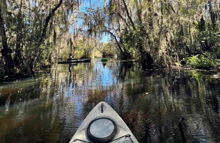 MTA Kayak Tour Guide, from its own website