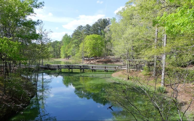 Dauset Trails Nature Center, from its own website