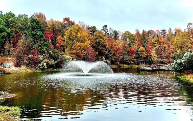 Dogwood Park at Wesley Chapel, from its own website