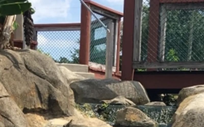 Adventure Mini Golf, from its own website