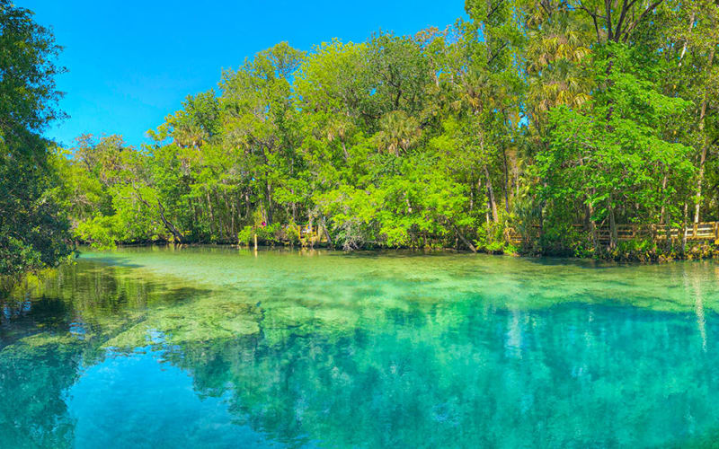 Homosassa Springs State Park Adventures, from its own website