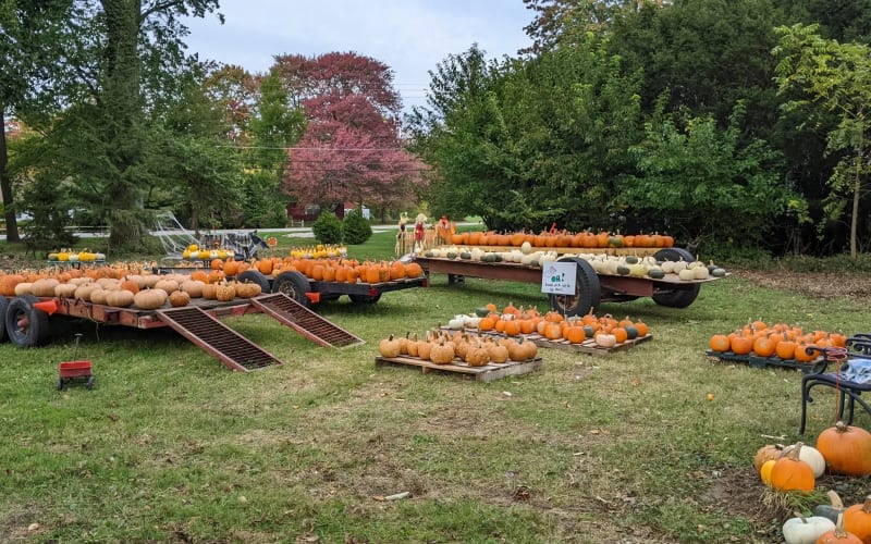Marsh Creek Farms, from its own website