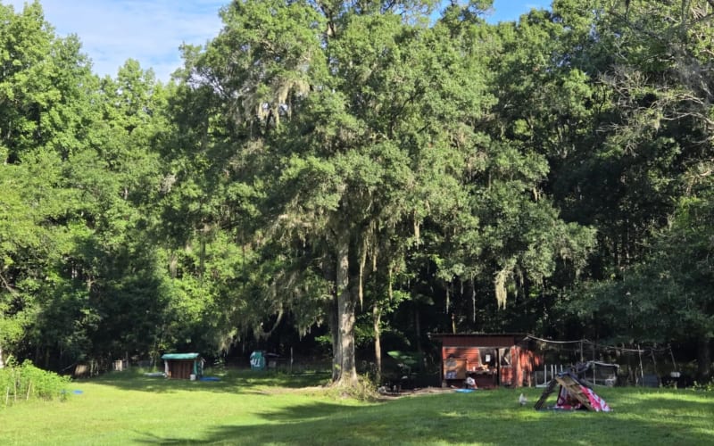 Sheehan Homestead, from its own website