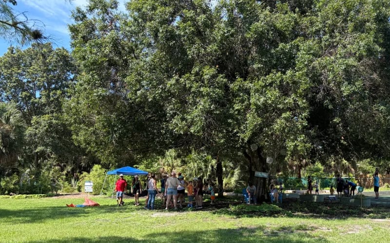Empowerment Farm, from its own website