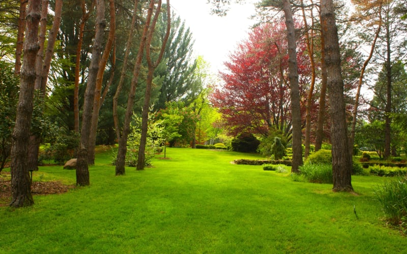 Schoepfle Gardens, from its own website