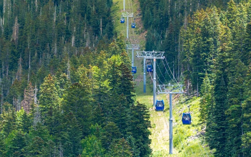 Snowbowl Scenic Gondola, from its own website