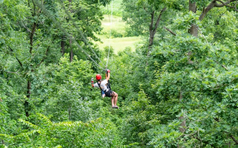 Long Hollow Canopy Tours, from its own website