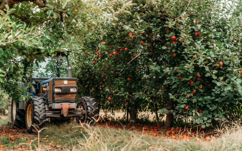 Apple Valley Orchard, from its own website