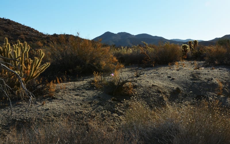 Indian Canyons, from its own website
