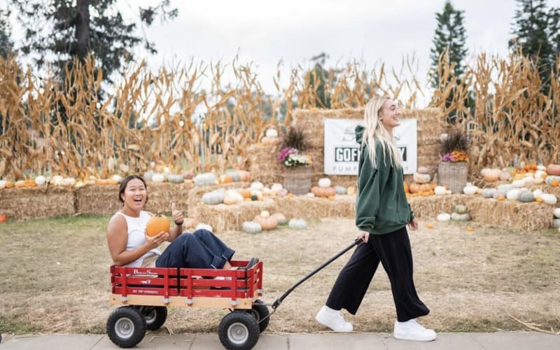 Goff Family Pumpkin Patch, from its own website