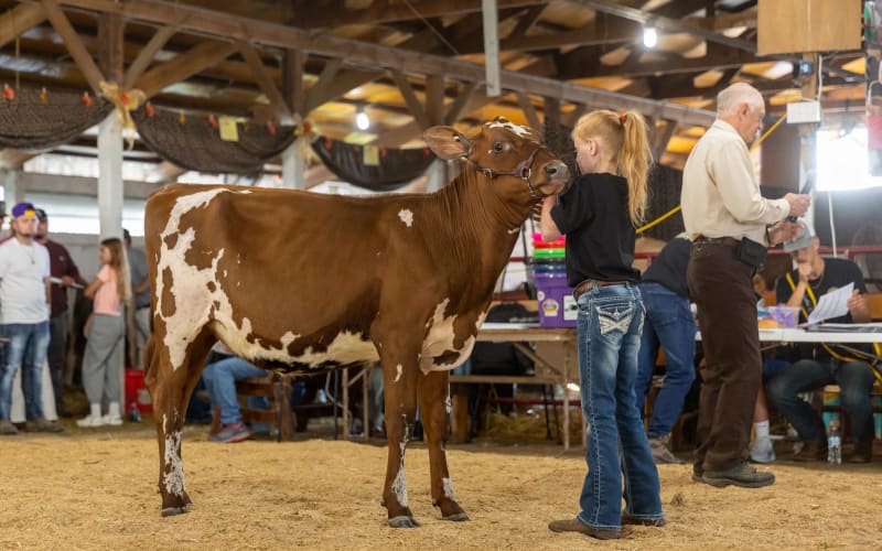 Coshocton County Fairgrounds, from its own website