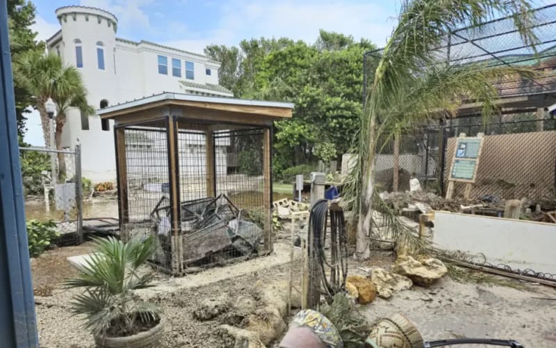 Seaside Seabird Sanctuary, from its own website