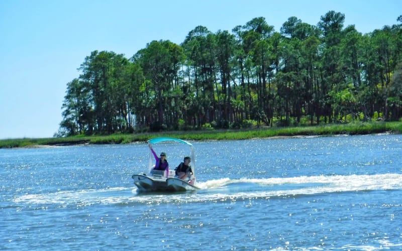 Backwater Cat Adventure, from its own website