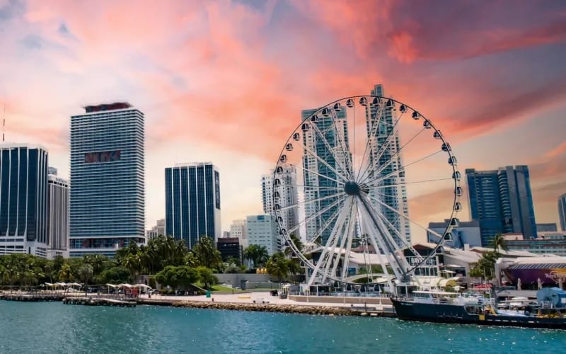 Skyviews Miami Observation Wheel, from its own website