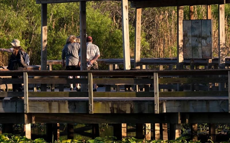Everglades Wildlife Management Area - Water Conservation Area 2B, from its own website