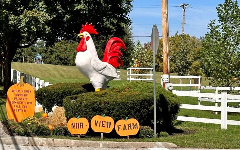 Nor-View Farm Park, from its own website