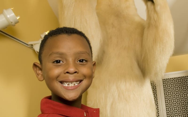 Orange County Regional History Center, from its own website