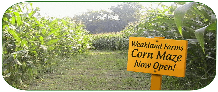 Weakland Farms, from its own website
