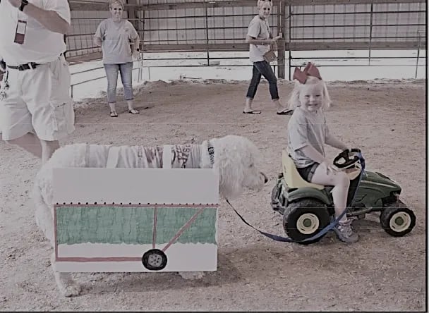Robertson County Fair Association, from its own website