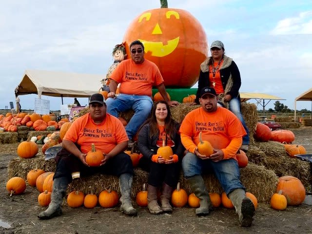 Uncle Ray's Pumpkin Patch, from its own website