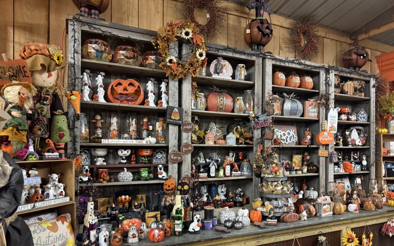 Great Pumpkin Farm, from its own website
