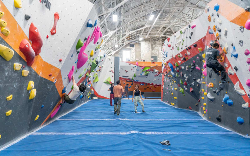 Movement Harlem, from its own website