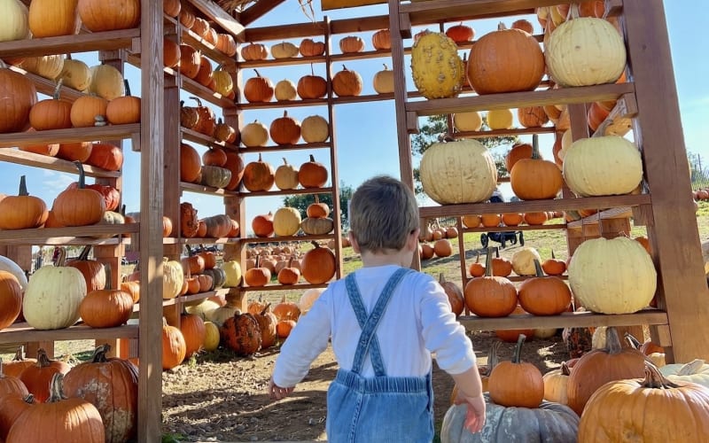Outhouse Orchards, from its own website