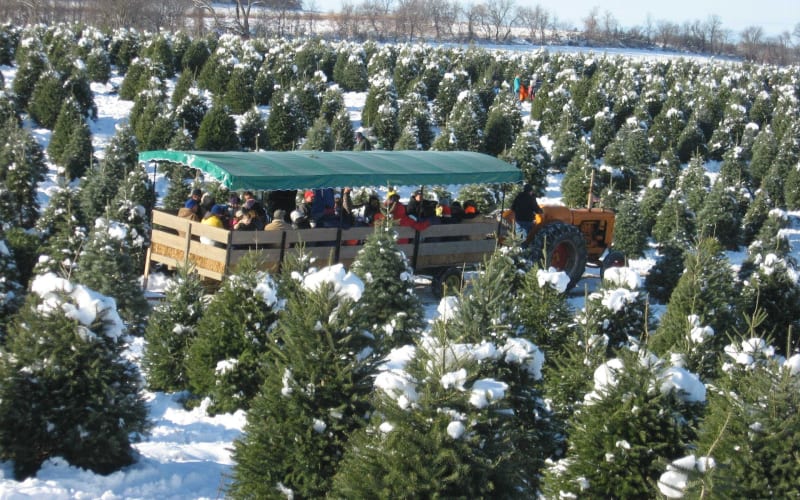 Stokoe Farms, from its own website