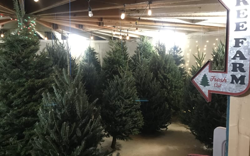 W&J Awald Farms Inc. Pumpkins, Corn maze, Christmas trees, Nursery stock, from its own website