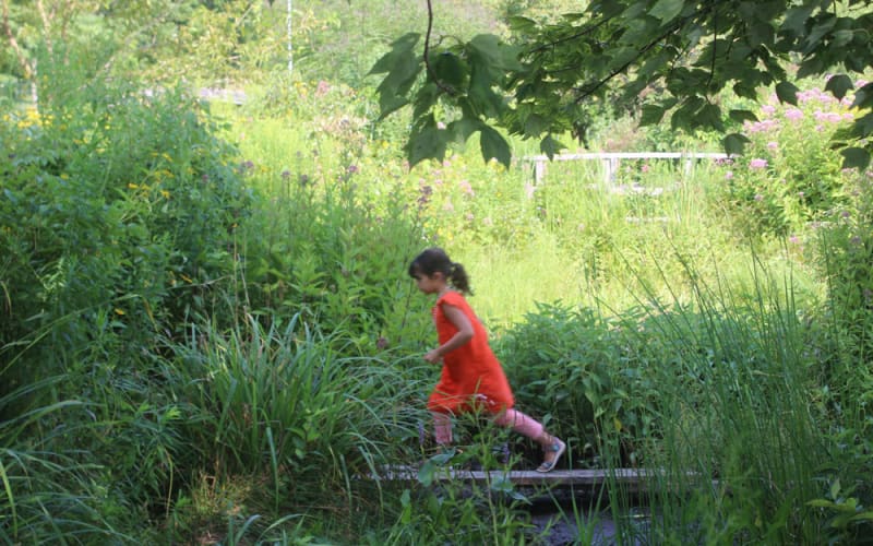 Ithaca Children's Garden, from its own website
