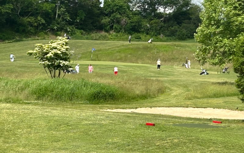 Sandy Falls Mini Golf, from its own website