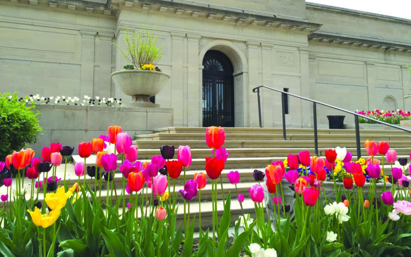 The Heckscher Museum of Art, from its own website