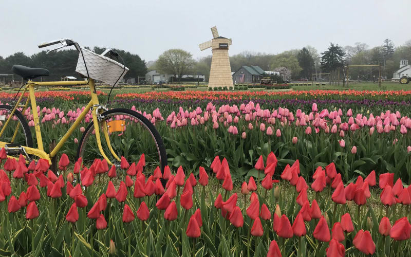 Waterdrinker Family Farm & Garden, from its own website