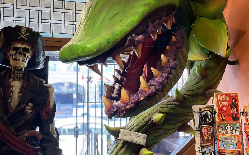 Museum of the Weird, from its own website