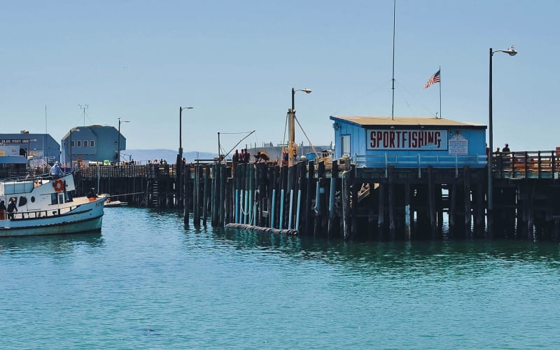 Port San Luis Marine Institute, from its own website