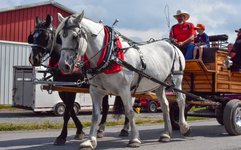 Dellavale Farm, from its own website