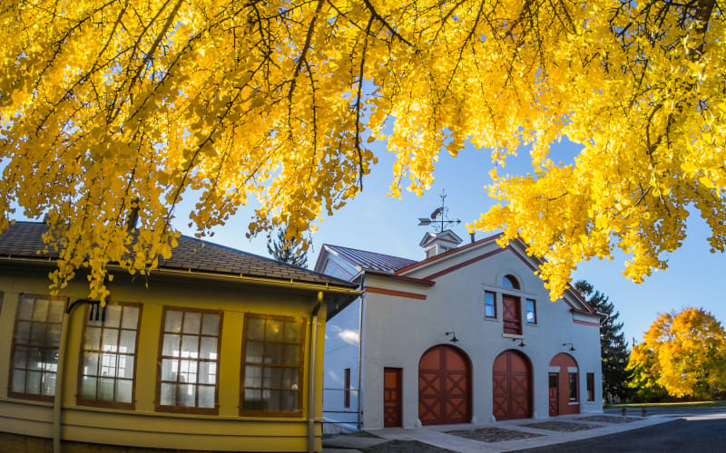 Cayuga Museum of History & Art, from its own website