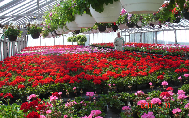 Sunnyside Gardens, from its own website